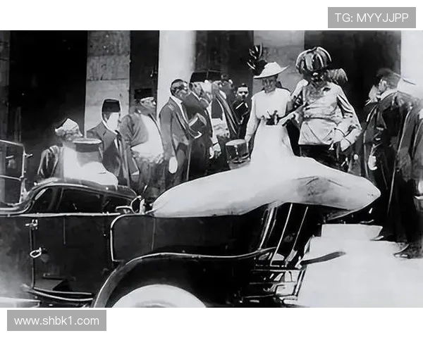 《从贝尔格莱德到硅谷 塞尔维亚工程师的全球创新之路》