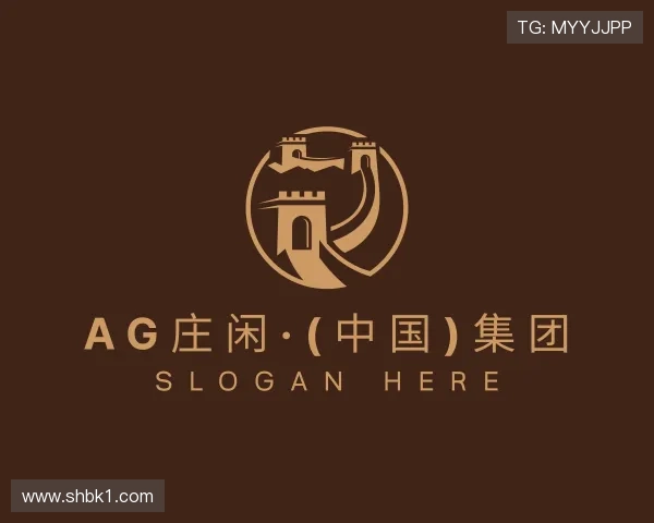 关于AG庄闲游戏